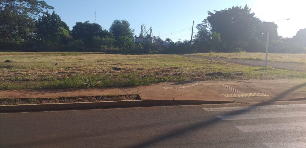 Vereador Adriano Martins agradece a prefeitura pela limpeza terrenos baldios, no bairro Bom Jesus